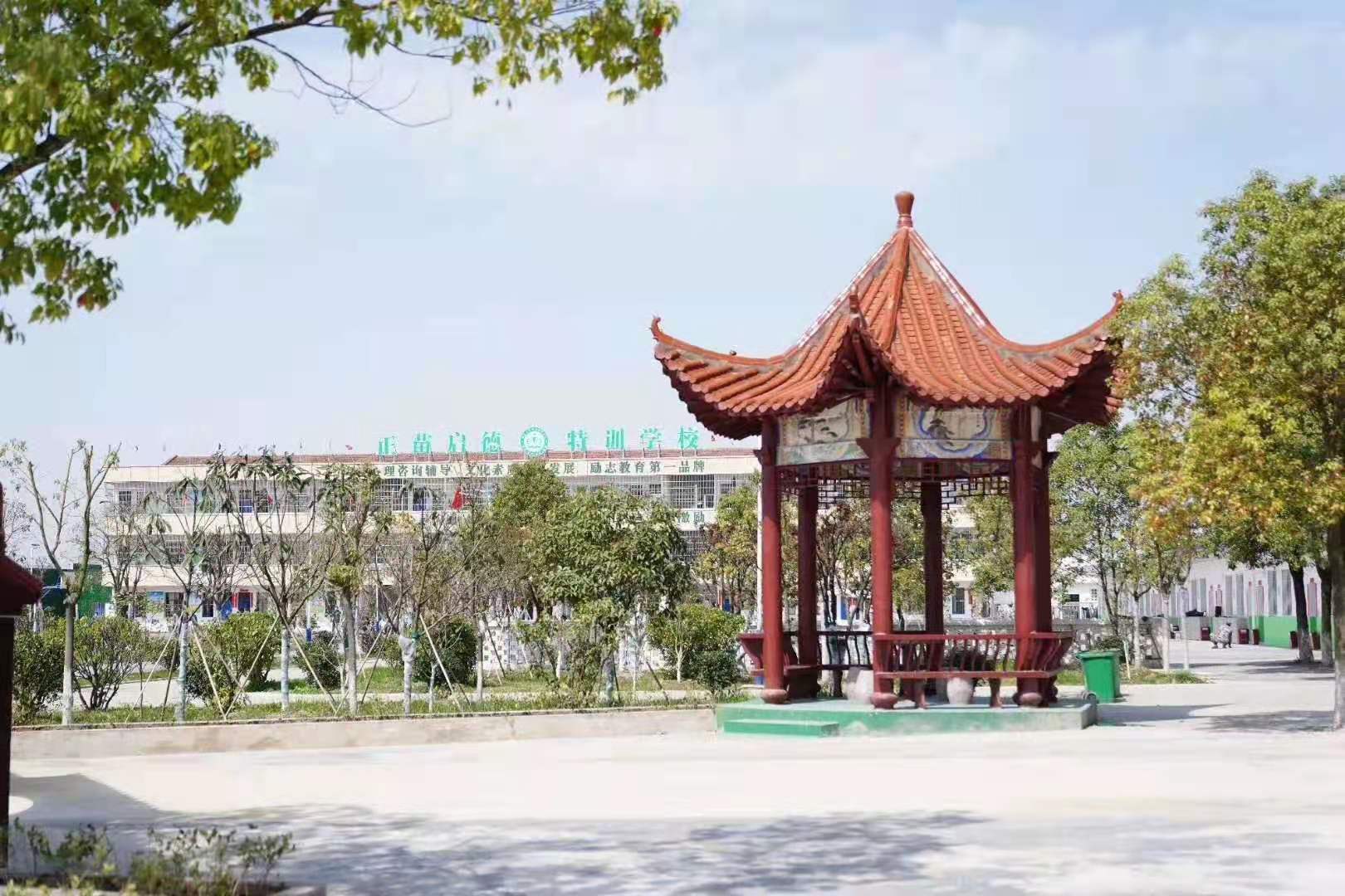 正苗启德学校图