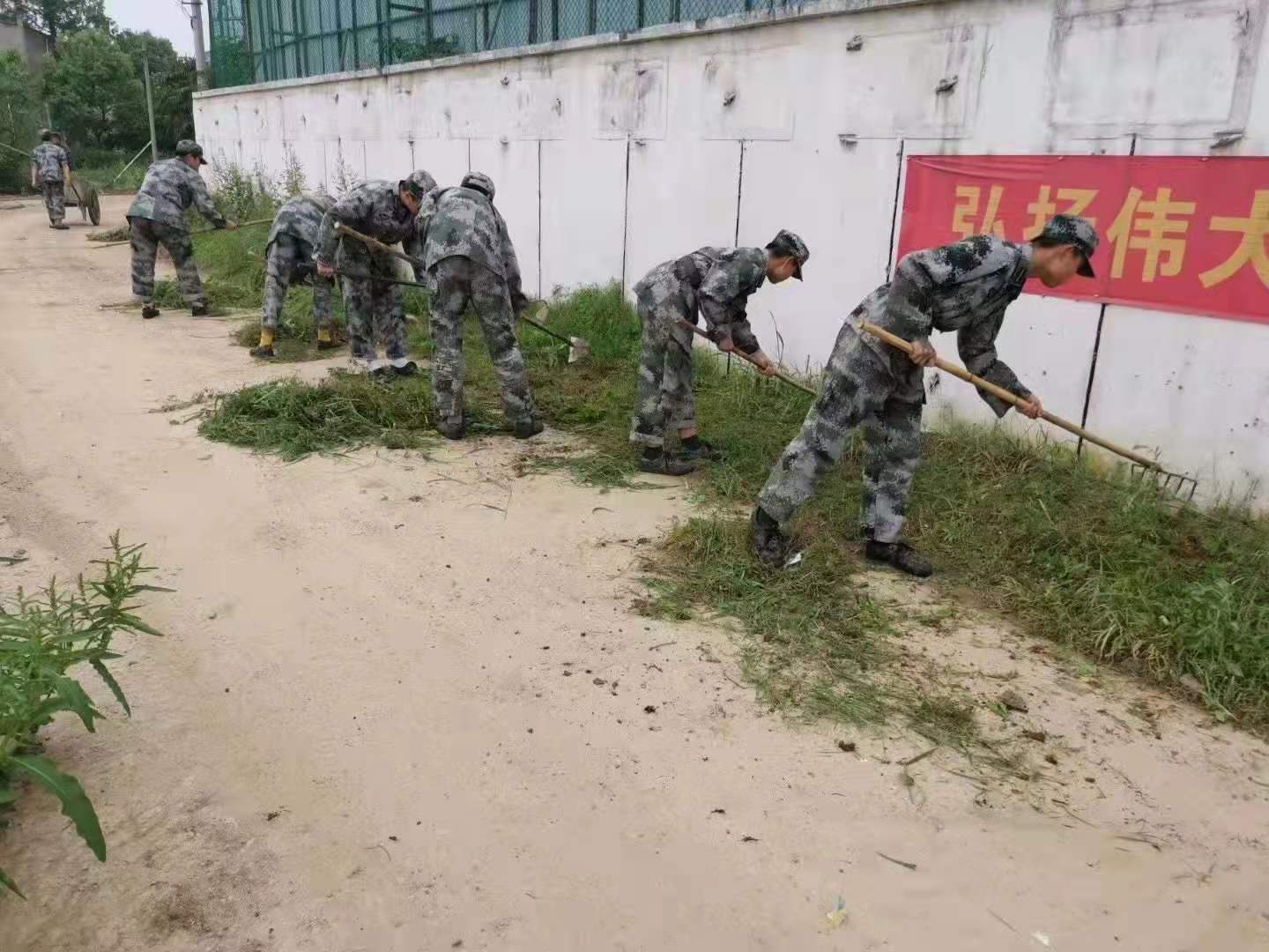 劳动