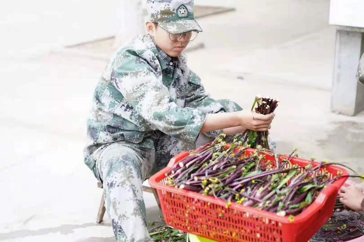   心理，文化，行为一体式教学，全方位成长(图3)