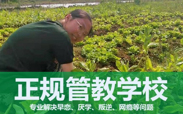 叛逆封闭学校一年多少学费(封闭学校一年多少钱)