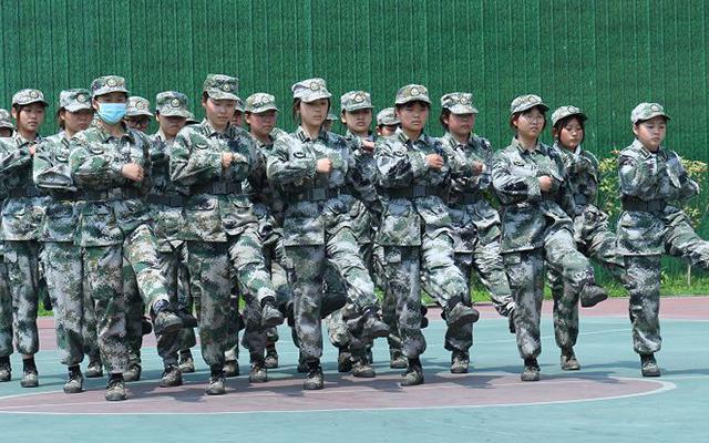 湖北荆州汉川正苗启德_2022已更新(今日／热文)