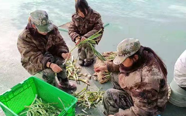 湖北襄阳小孩早恋如何教育_2022最新(今日／热点）