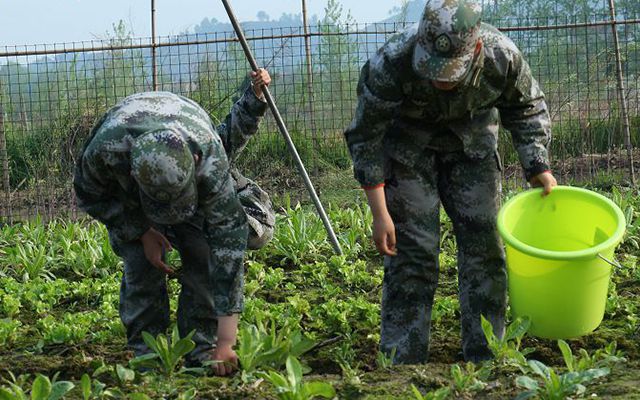 湖北天门叛逆小孩教育学校比较好_6月已更新(今日／头条)