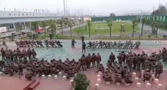 正苗启德拔河比赛进行时！你猜哪组会赢？