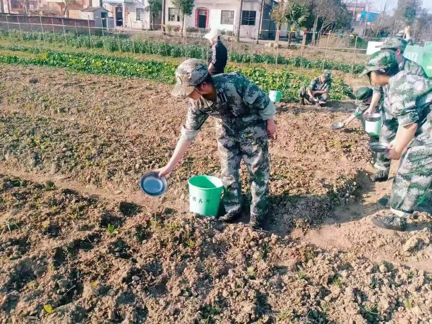 正苗启德学生种菜