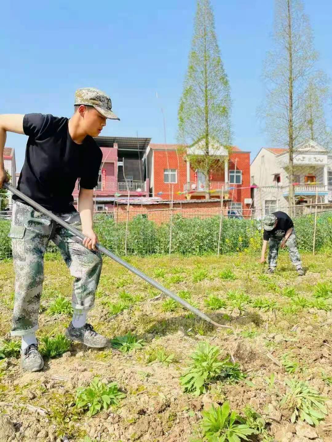 正苗启德学生种菜